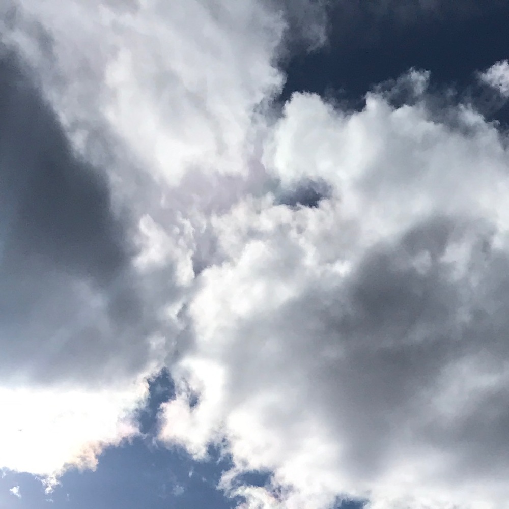 Meet your Posher, Summer